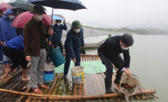 Nghệ An thả 1,3 tấn cá giống xuống lưu vực sông Lam để tái tạo, phát triển nguồn lợi thủy sản