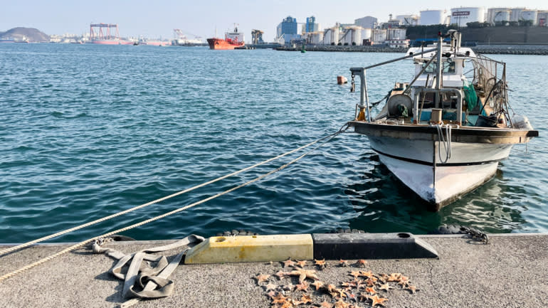 Một chiếc thuyền đánh cá với các cơ sở công nghiệp trên bờ biển Ulsan, Hàn Quốc, vào ngày 11 tháng 2. (Ảnh của Steven Borowiec)