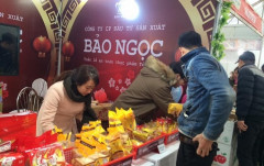 Đầu tư Sản xuất Bảo Ngọc đặt mục tiêu lợi nhuận 2022 cao kỷ lục