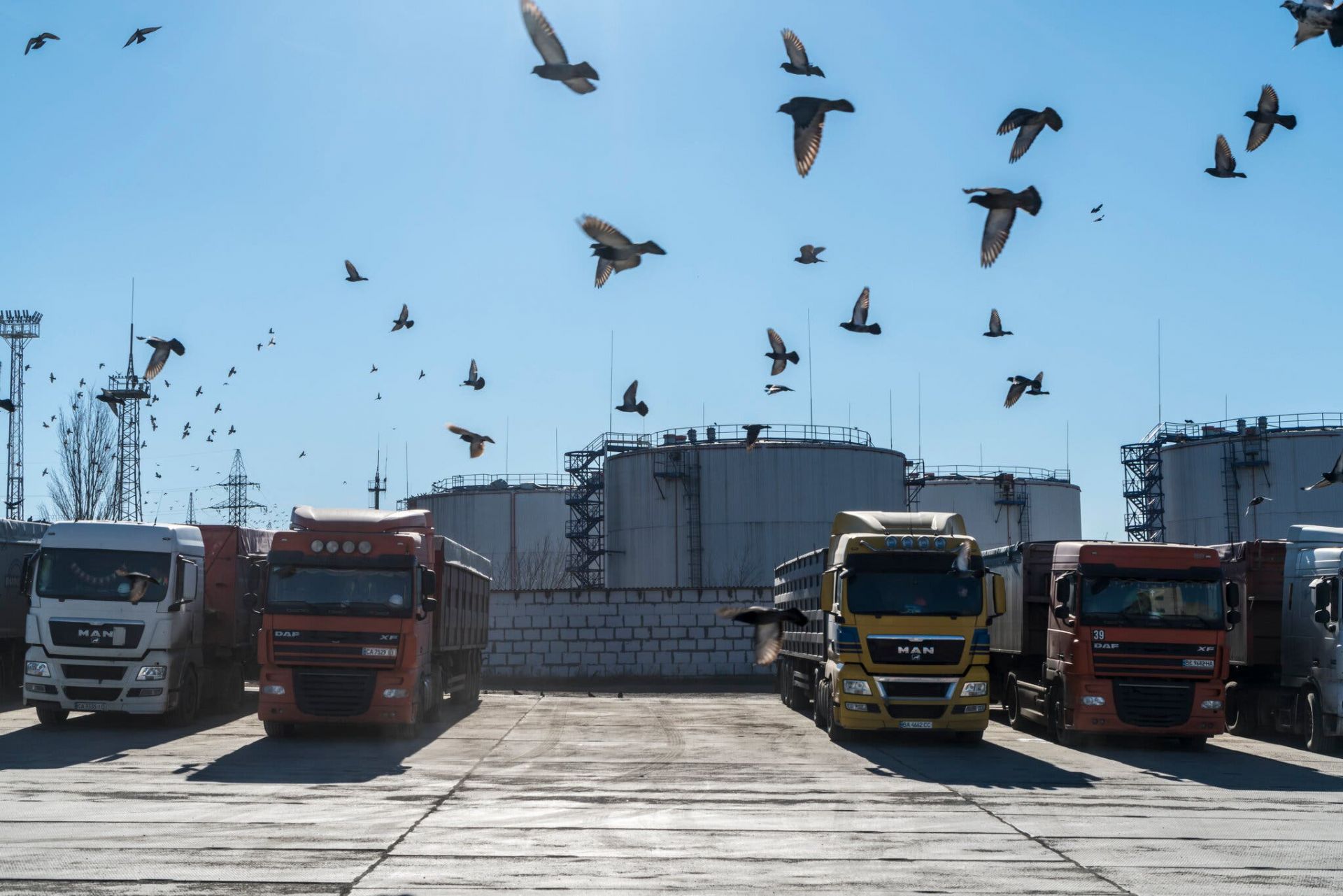 Xe tải chất đầy lúa mì tại cảng. Nga và Ukraine cùng nhau chiếm gần 30% lượng lúa mì xuất khẩu toàn cầu.Tín dụng...Brendan Hoffman cho The New York Times