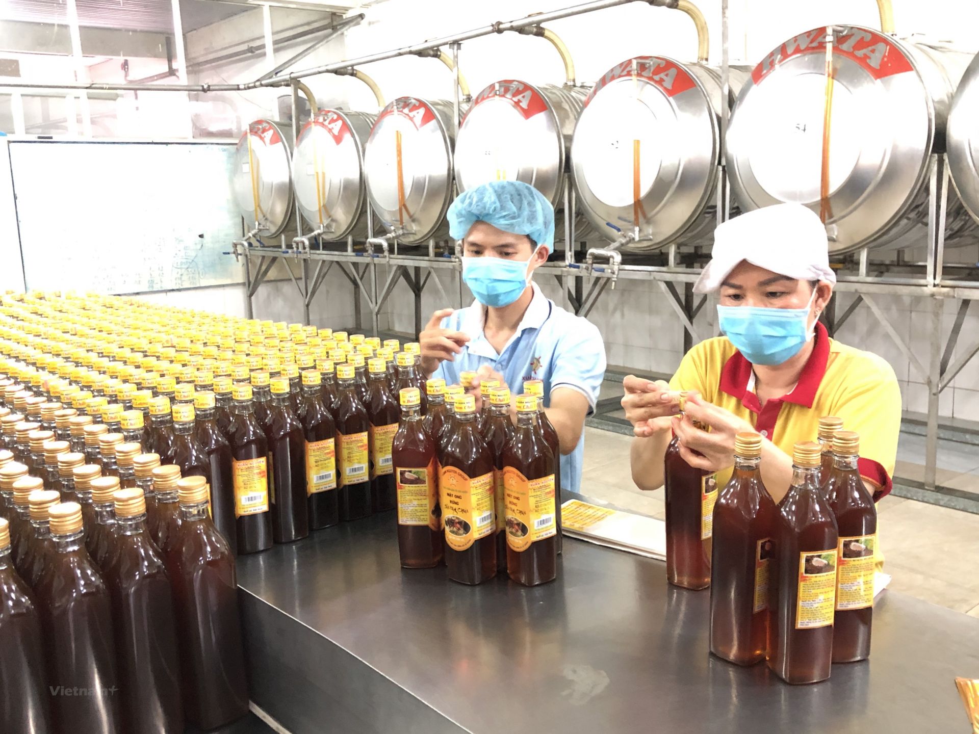 Mật ong Việt Nam đối diện nguy cơ bị áp thuế 400%