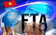 Thích ứng với các FTA:  Thách thức đối với doanh nghiệp Việt Nam
