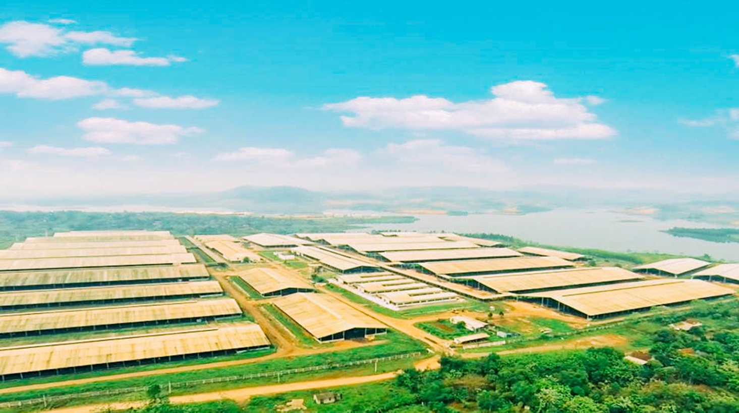 TH sở hữu Cụm trang trại tập trung ứng dụng công nghệ cao với quy trình sản xuất khép kín quy mô lớn nhất thế giới.