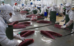 Khó khăn cho ngành thủy sản trước căng thẳng Nga - Ukraine