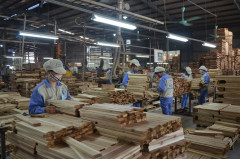 Được hưởng lợi từ các FTA, dự báo doanh thu gỗ của Phú Tài tăng trưởng 16%/năm giai đoạn 2023-2026