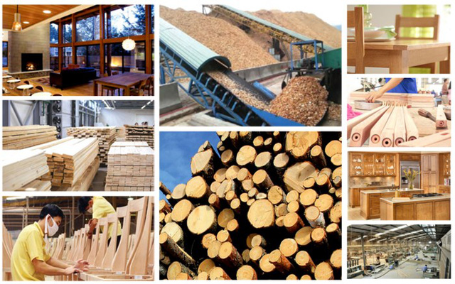 Export of timber and forest products projected to reach US$25 bln by 2030