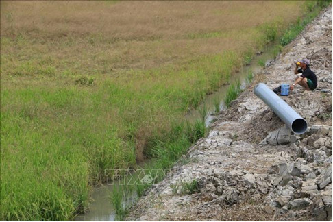 The life of people in the Mekong Delta is increasingly difficult because of drought and saltwater intrusion