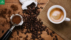 Nỗ lực đáp ứng yêu cầu khắt khe của thị trường Anh để xuất khẩu cà phê