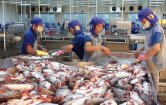 Hà Lan là thị trường lớn nhất của cá tra Việt Nam