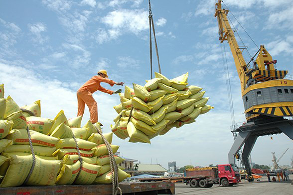 Gập ghềnh hành trình xuất khẩu gạo