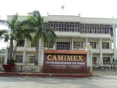 Lãi ròng quý I/2022 của Camimex Group tăng 40% so với cùng kì