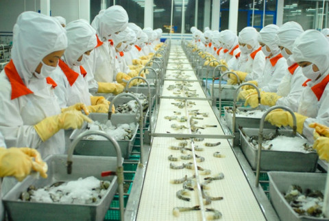 Demad is rapidly increasing, and shrimp exports are expected to increase by 40% in march 2022