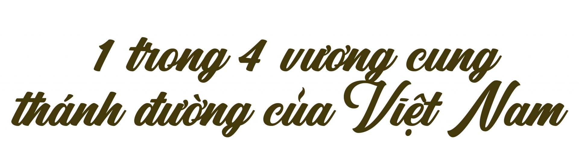 Vương cung thánh đường là danh hiệu tôn vinh đặc biệt mà Giáo hoàng dành cho một số nhà thờ hoặc thánh địa tại Roma hay khắp nơi trên thế giới, xét theo tính cách cổ kính, tầm quan trọng trong lịch sử và ý nghĩa tâm linh. Tại Việt Nam, có 4 nhà thờ được sở hữu danh hiệu cao quý này gồm nhà thờ chính tòa Đức Bà Sài Gòn, nhà thờ La Vang, nhà thờ Phú Nhai và nhà thờ Kẻ Sở. Nhà thờ Đức Bà là cách gọi ngắn gọn của Nhà thờ chính tòa Đức Bà Sài Gòn, có tên chính thức là Vương Cung Thánh đường Chính tòa Đức Mẹ Vô nhiễm Nguyên tội (Immaculate Conception Cathedral Basilica), được phong Vương Cung Thánh Đường vào năm 1962.