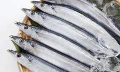Nhật Bản sẽ áp dụng yêu cầu giấy chứng nhận khai thác cho 4 loài thủy sản
