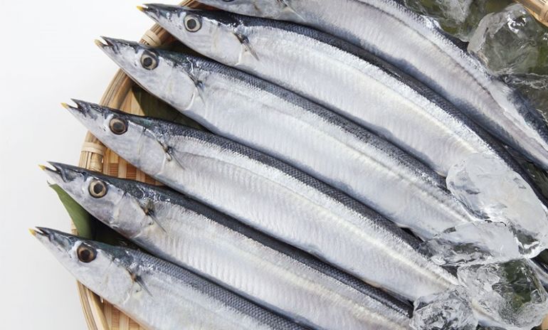 Nhật Bản sẽ áp dụng yêu cầu giấy chứng nhận khai thác cho 4 loài thủy sản