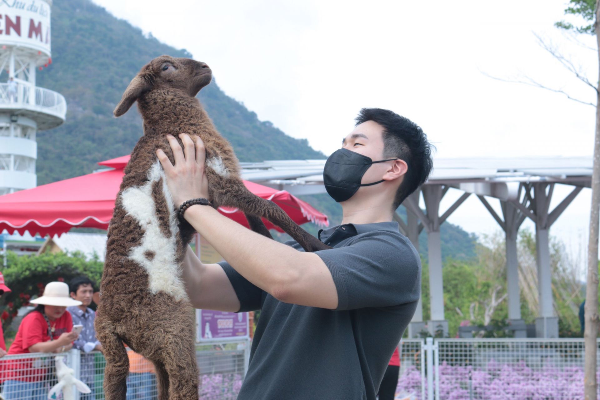 While touring Anhao Solar Prairie, a member of the Korean Business Delegation expressed great interest in the Lambs reared here