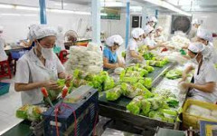 Chuyển dịch thị trường xuất khẩu, giúp mặt hàng rau quả của Việt Nam tăng trưởng