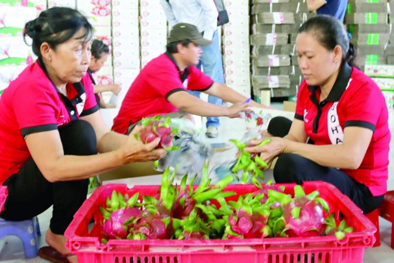 Ùn ứ tại cửa khẩu sang Trung Quốc khiến hàng rau quả xuất khẩu giảm mạnh