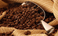 Cơ hội xuất khẩu cà phê sang Algeria