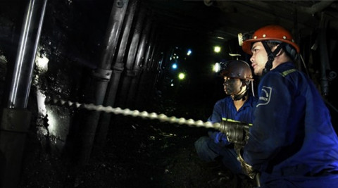 Coal shortages puts thermal power plants at risk