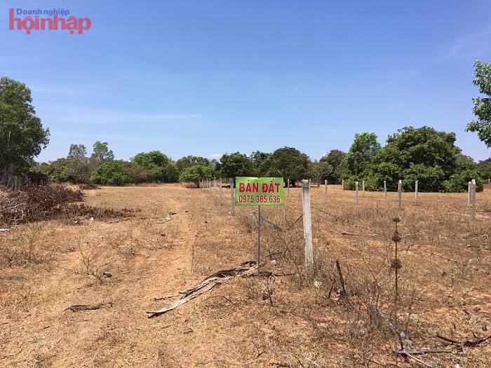 Land sale record and seller's phone number in Thien Nghiep commune, Phan Thiet city. Land sale record and seller's phone number in Thien Nghiep commune, Phan Thiet city.