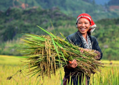 ADB cấp khoản vay 100 triệu USD hỗ trợ nông hộ Việt Nam, Ấn Độ, Indonesia, Pakistan và Thái Lan
