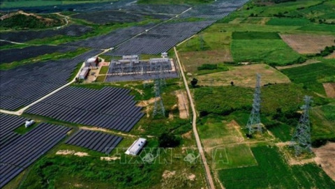 Vietnam keen on pushing for renewable energy: Minister
