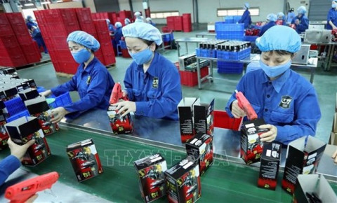 Census of enterprises to begin on April 15