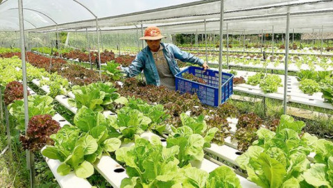 Investment promotion conference in Hoc Mon, Cu Chi districts opens