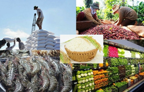 To fulfil the goal of exporting agricultural products worth 50 billion USD in 2022