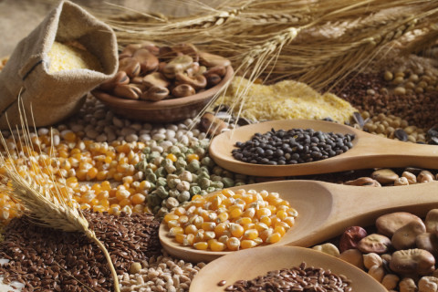 Food shortages in the United States