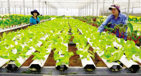 The critical significance of agriculture in the efficient use of land