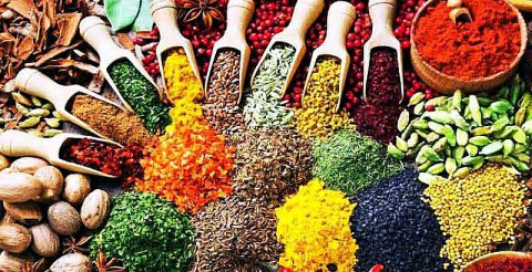 Removing obstacles for enterprises to export and import drugs and medicinal ingredients