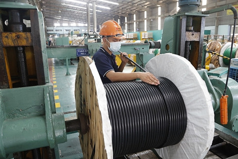 Declare and pay taxes on processed products brought into the domestic market