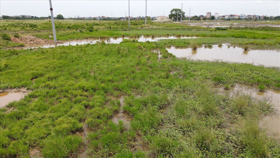 A project in Quoc Oai (Hanoi) was assigned but abandoned for many years. A project in Quoc Oai (Hanoi) was assigned but abandoned for many years.