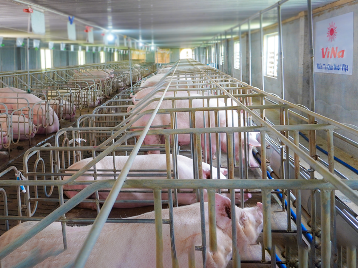 Animal feed costs account for a sizable component of production costs. Animal feed costs account for a sizable component of production costs.
