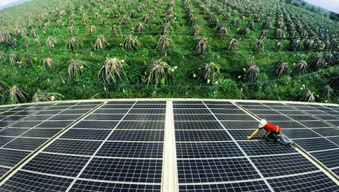 Da Lat pilots agrivoltaics model