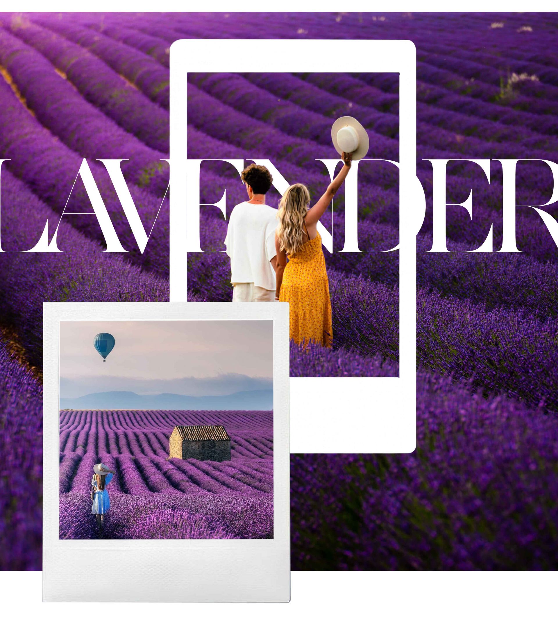 You should visit Provence between June and August to
take part in the lavender festival. The lavender fields are
also in full bloom this season, bringing a huge number of
people.

If you visit France this summer, bring your loved one to
Provence to gaze and appreciate the beautiful and romantic
beauty of the world-famous lavender field.