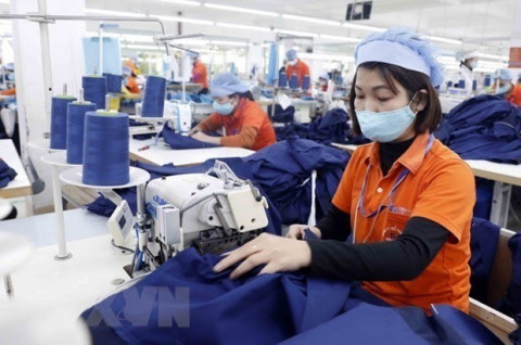 Textile - garment sector sees strong growth