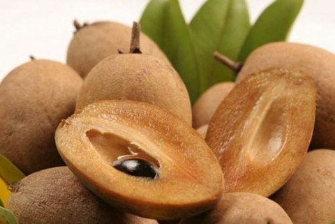 Vietnam’s frozen sapodilla fruit promoted in Australia