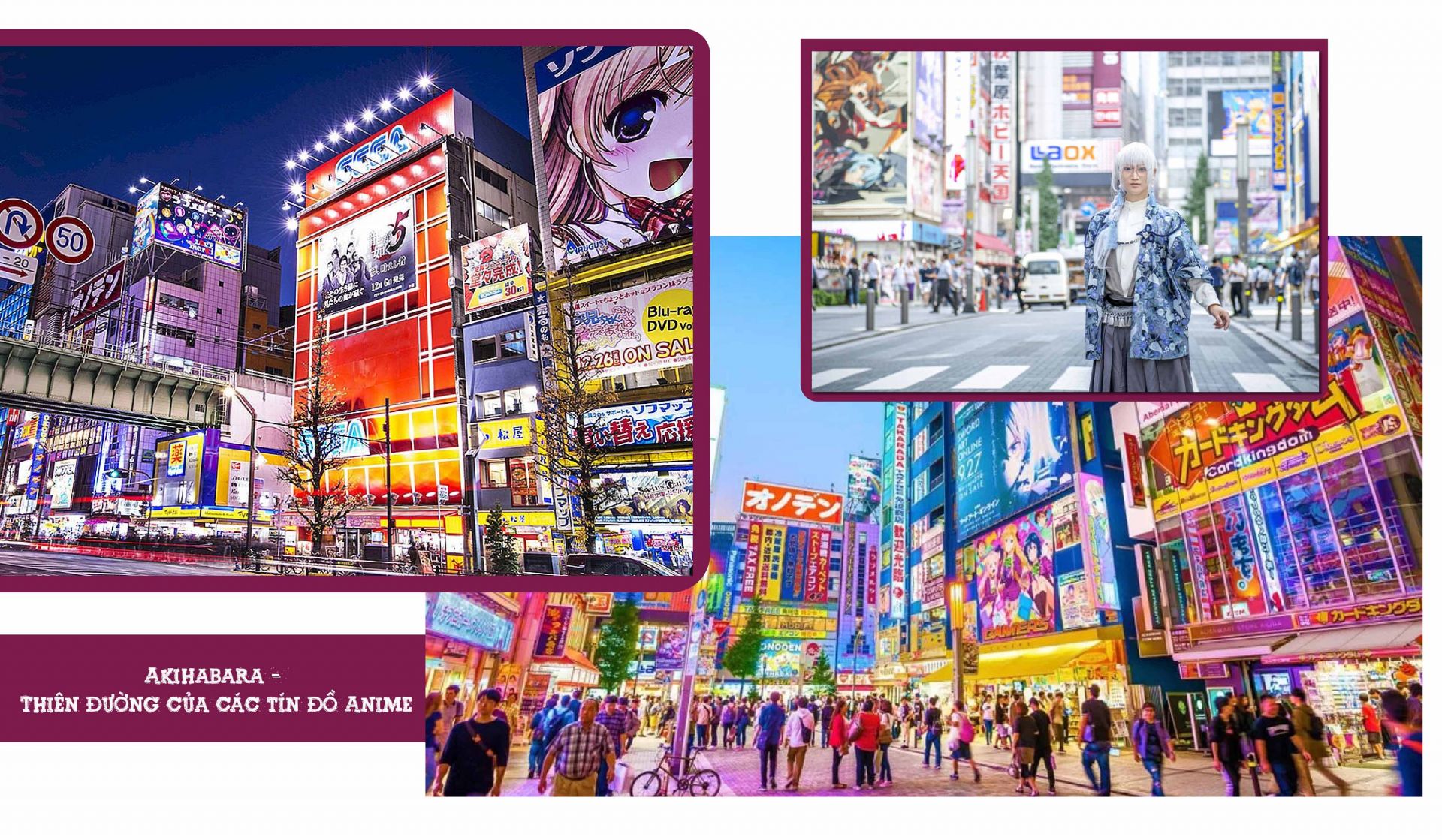Hàng ngày, khu phố này luôn tấp nập du khách trong lẫn ngoài nước, ghé qua để tìm
kiếm những sản phẩm điện tử mới nhất cũng như các vật phẩm Otaku khó mà có được
ở nơi nào khác. Có thể nói, Akihabara là một trong các thiên đường mua sắm tại
Tokyo, có sự hòa hợp giữa văn hóa Otaku và khu phố đồ điện tử.
Trong thời đại ngày nay, văn hóa Anime càng phát triển mạnh mẽ hơn khi các ngày hội
Anime bắt đầu diễn ra. Các ngày hội Anime có thể diễn ra trong vài ngày, thu hút đông
đảo của những người hâm mộ Anime và Manga muốn thể hiện niềm đam mê và sự
cống hiến của mình cho Anime. Nếu có dịp hãy cùng chìm đắm trong nét văn hóa
Anime đẹp đẽ này qua các lễ hội nhé, nó hứa hẹn sẽ đem lại cho bạn những trải
nghiệm khó quên trong đời này!