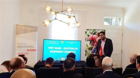 Vietnam ready to assist Australian businesses: diplomat