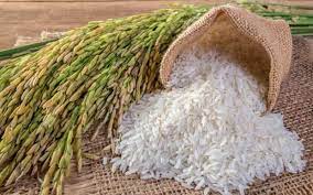 Giá lúa gạo ngày 06/5: Giá ổn định sau phiên điều chỉnh, thị trường giao dịch chậm