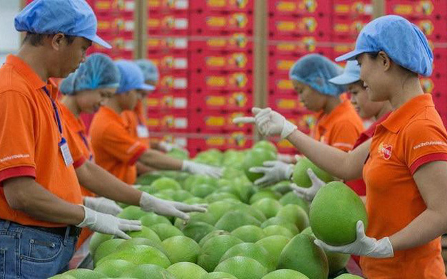 Nhu cầu thực phẩm tăng mạnh, Việt Nam tích cực mở rộng thị trường