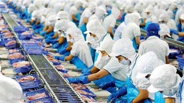 A seafood processing line at Vĩnh Hoàn Company. — Photo vneconomy.vn