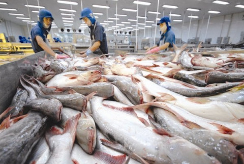 Việt Nam có thêm 2 doanh nghiệp được xuất khẩu cá vào Liên minh kinh tế Á – Âu