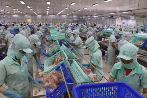 Six more pangasius processing factories eligible to export to US