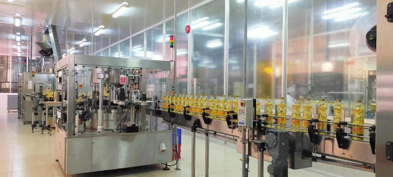 Processing line for cooking oil made from pangasius byproducts