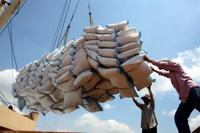 Rice loaded for export. The focus should be placed on building brands for Vietnamese rice and increasing brand recognition to expand export to ASEAN markets. — VNA/VNS Photo