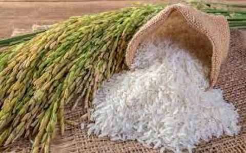 Giá lúa gạo ngày 23/5: Duy trì sự ổn định giá nhưng giao dịch chậm